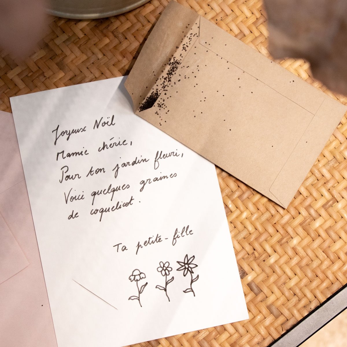 Carte de vœux à planter Joyeux Noël La fabrique à sachets – Message festif + sachet de graines, éco-friendly & original