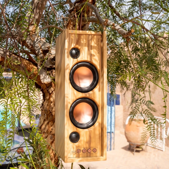 Enceinte Bluetooth The Bottle Soundivine – Design audacieux en frêne massif, cuir & métal cuivré, son studio 2x25W, made in Fran