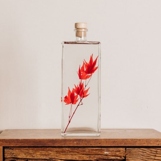 Plantes immergées en bouteille - Herbarium décoratifs fait en France - Idée cadeau femme