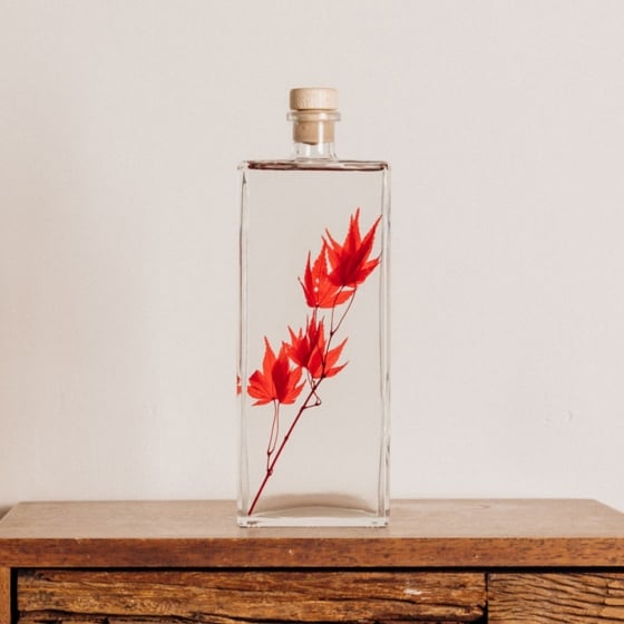 Plantes immergées en bouteille - Herbarium décoratifs fait en France - Idée cadeau femme