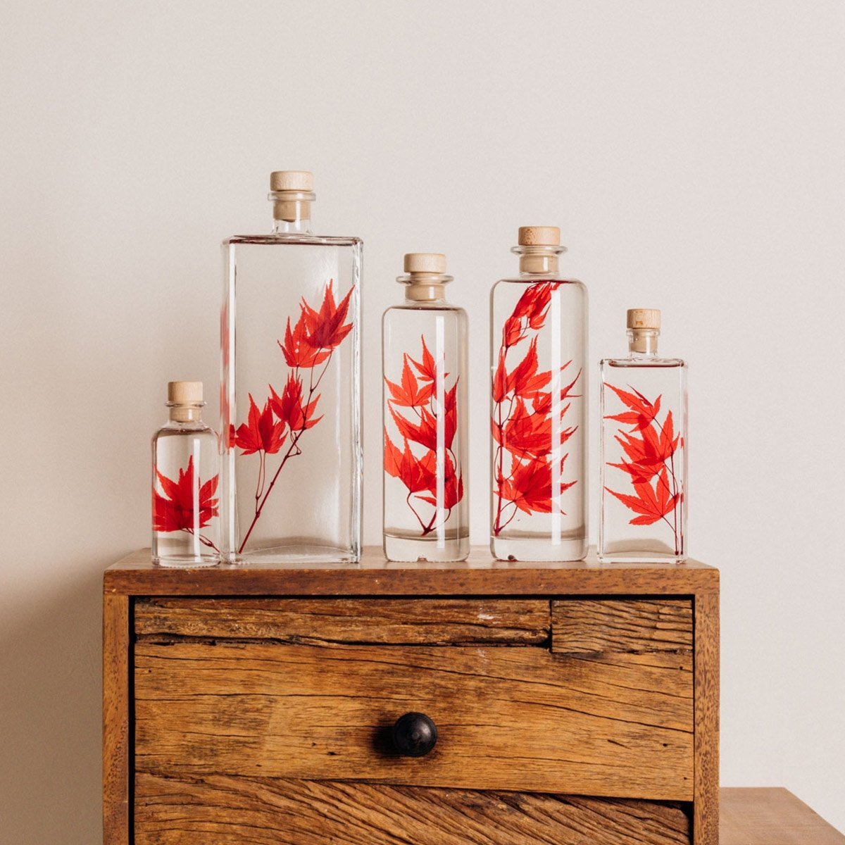 Déco plante en bouteille - Les Raffineurs