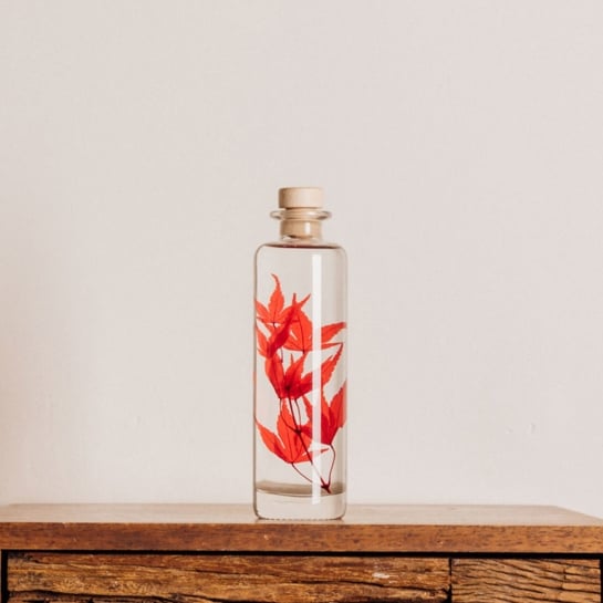 Plantes immergées en bouteille - Herbarium décoratifs fait en France - Idée cadeau femme