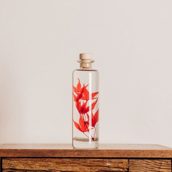 Plantes immergées en bouteille - Herbarium décoratifs fait en France - Idée cadeau femme