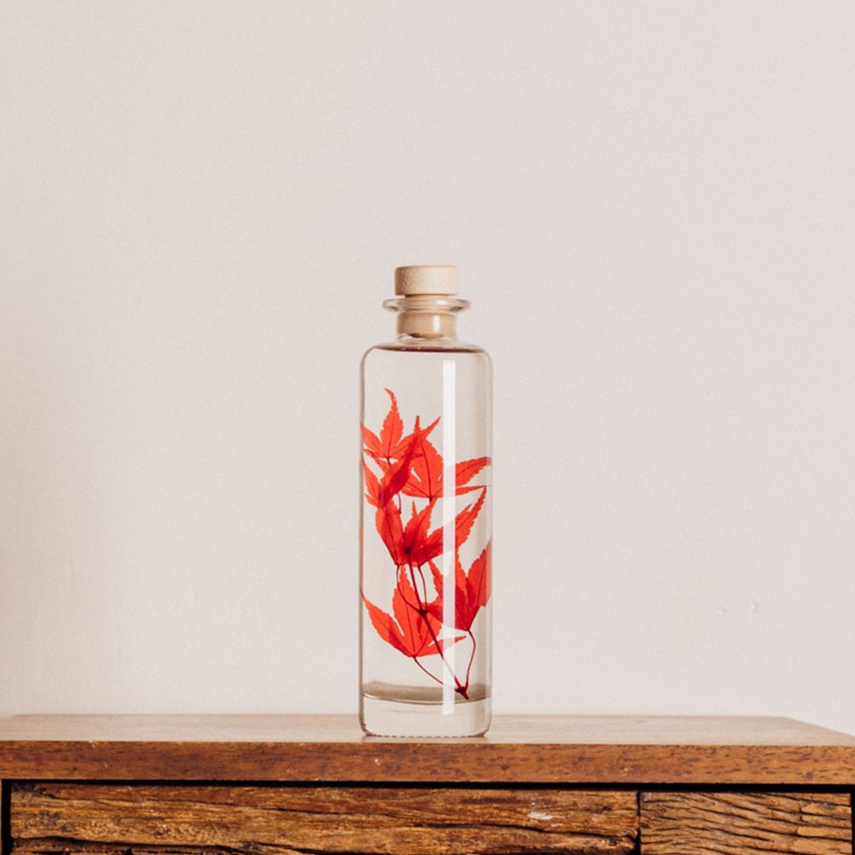 Plantes immergées en bouteille - Herbarium décoratifs fait en France - Idée cadeau femme