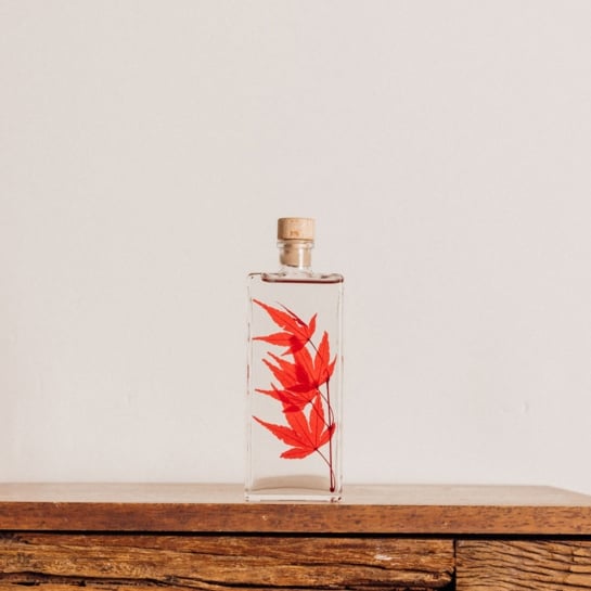 Plantes immergées en bouteille - Herbarium décoratifs fait en France - Idée cadeau femme