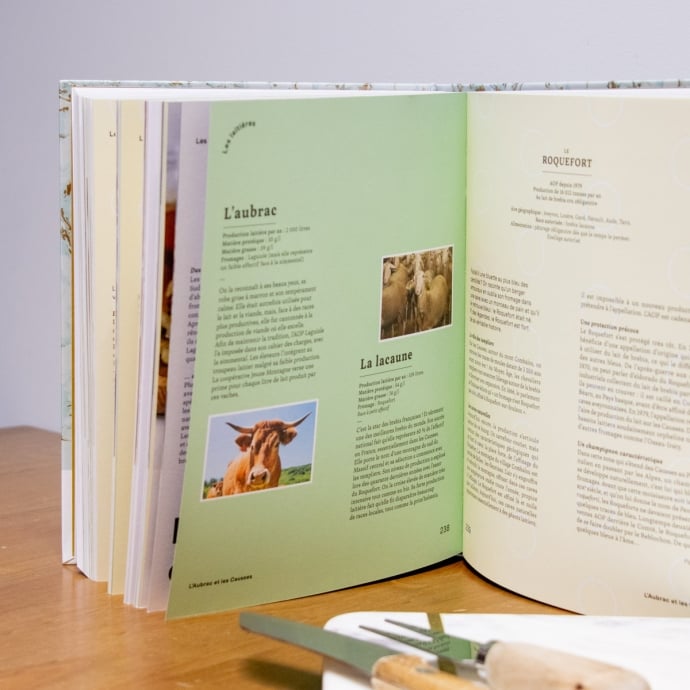 Livre Le bon savoir du fromage First editions – Guide expert par Pierre Coulon, 336 pages, terroirs & races laitières