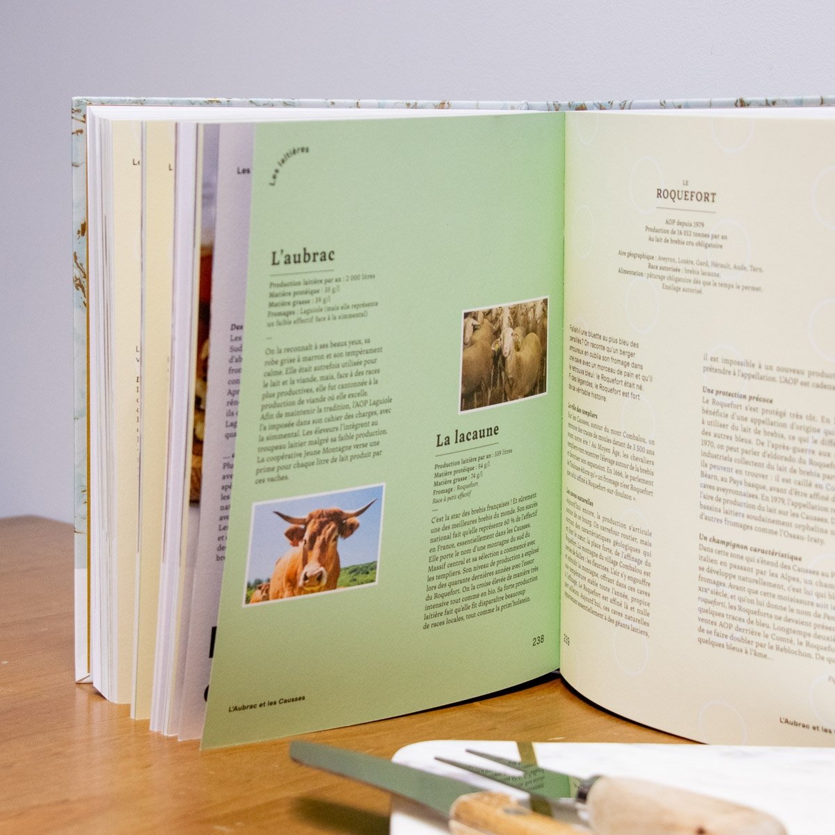 Livre Le bon savoir du fromage First editions – Guide expert par Pierre Coulon, 336 pages, terroirs & races laitières