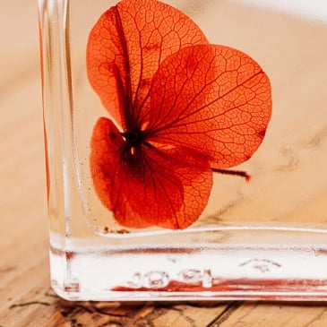 Fleurs immergées Image 30883