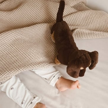 Peluche Jellycat Teckel (image 2)