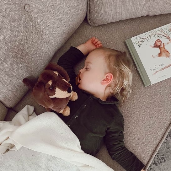 Peluche Teckel - Les Raffineurs