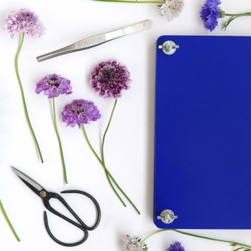 Presse à fleurs (image 2)