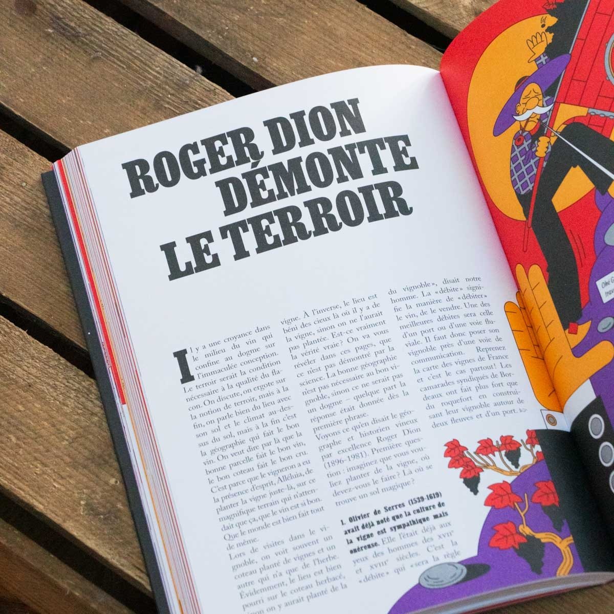 Livre OVNI – Histoire du vin, anecdotes mythologiques & culturelles - Fabrizio Bucella