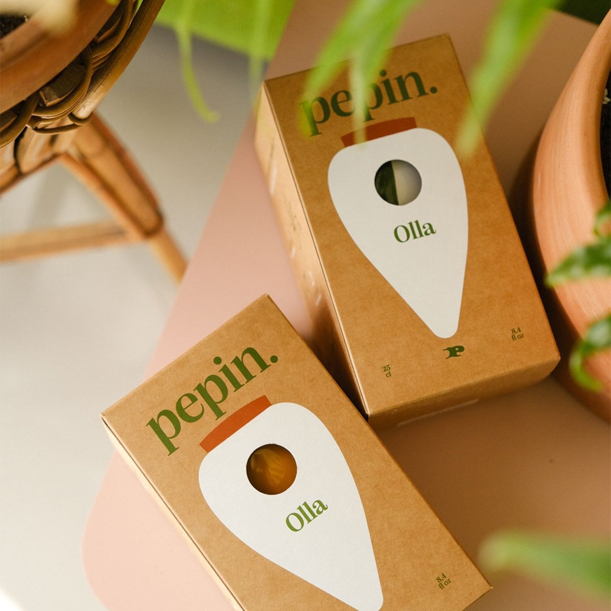 Réservoir d’eau naturel Pépin – Olla en céramique microporeuse, arrosage autonome et économe pour plantes