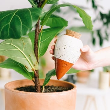 Réservoir d’eau naturel