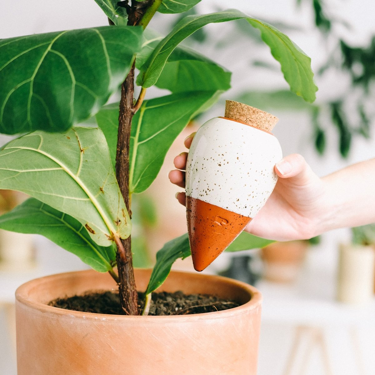 Réservoir d’eau naturel Pépin – Olla en céramique microporeuse, arrosage autonome et économe pour plantes