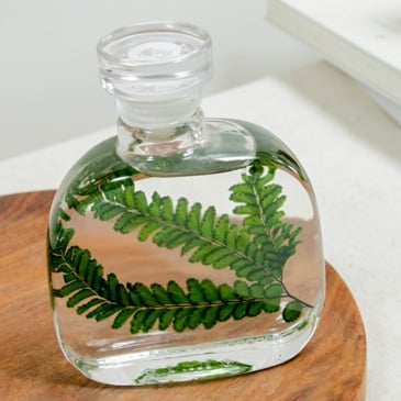 Plantes immergées rondes (image 2)