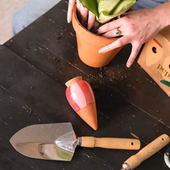 Set de 3 minis réservoirs d’eau – Pépin, ollas en terre cuite artisanales pour arrosage autonome de vos plantes
