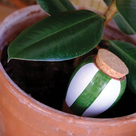 Set de 3 minis réservoirs d’eau – Pépin, ollas en terre cuite artisanales pour arrosage autonome de vos plantes