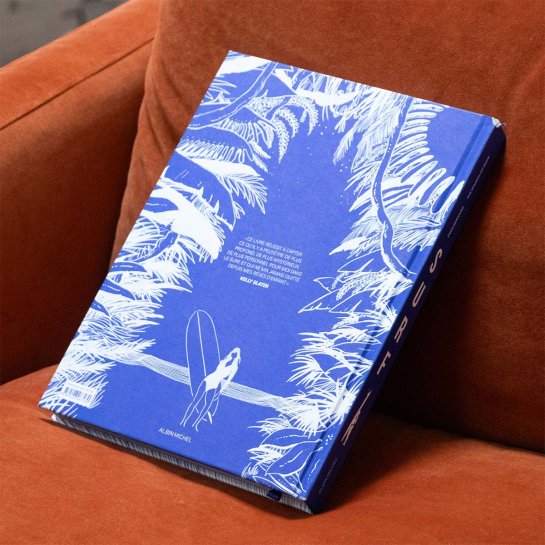 Livre surf d’art et d’histoires par Fred Bernard