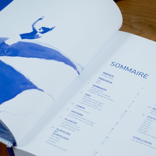 Livre surf d’art et d’histoires par Fred Bernard