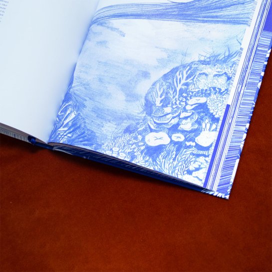 Livre surf d’art et d’histoires par Fred Bernard