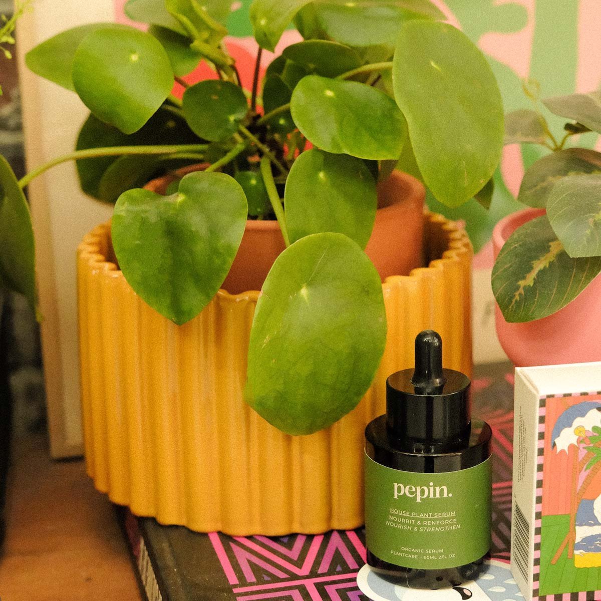 Système d’arrosage autonome du pot Paula