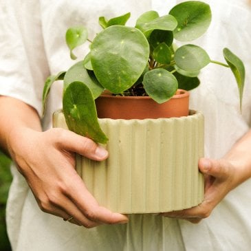 Pot autonome Paula vert sauge Pépin