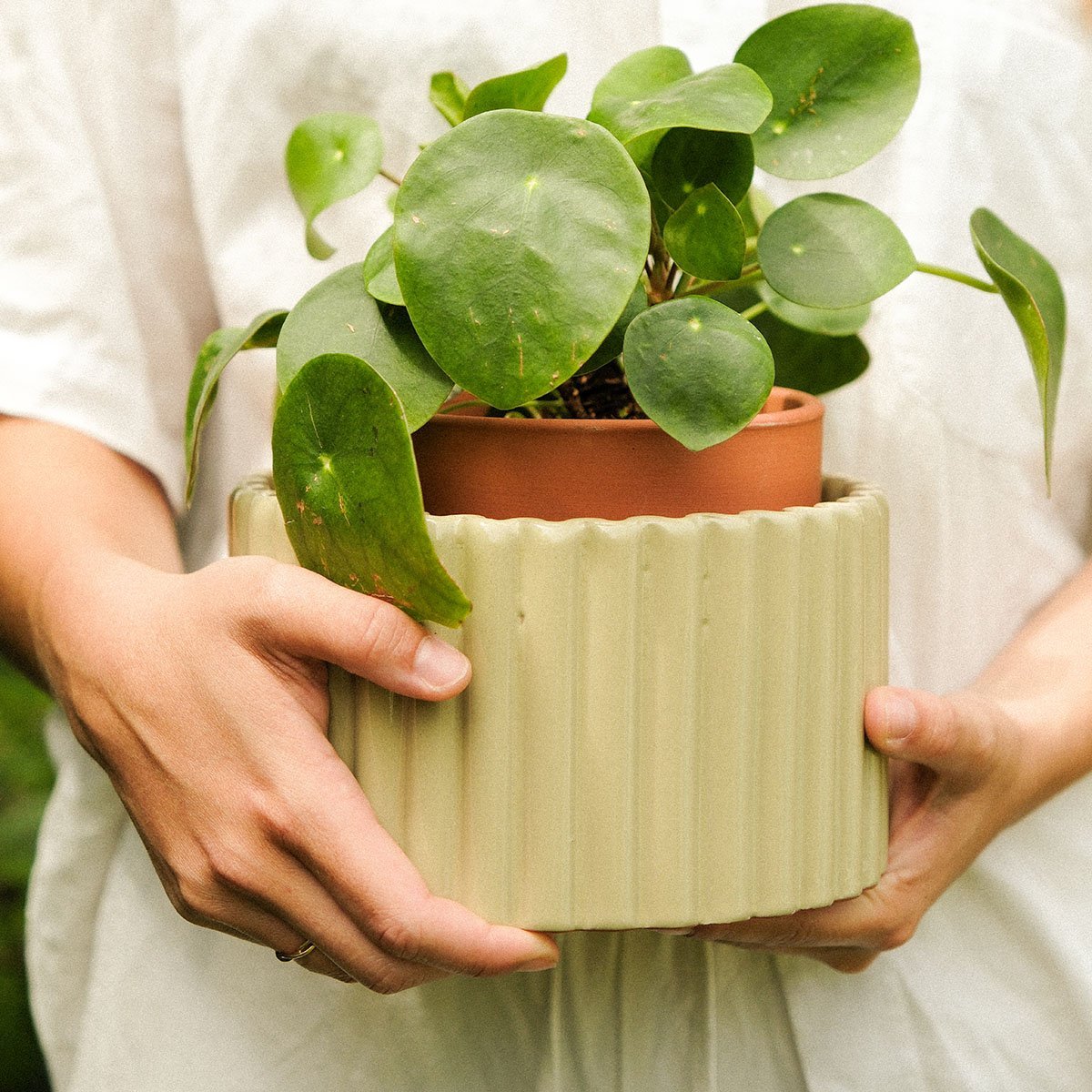 Pot autonome Paula vert sauge Pépin