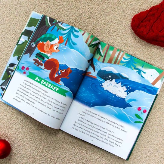 Livre le Noël de la forêt - 24 histoires à partager - Les Raffineurs