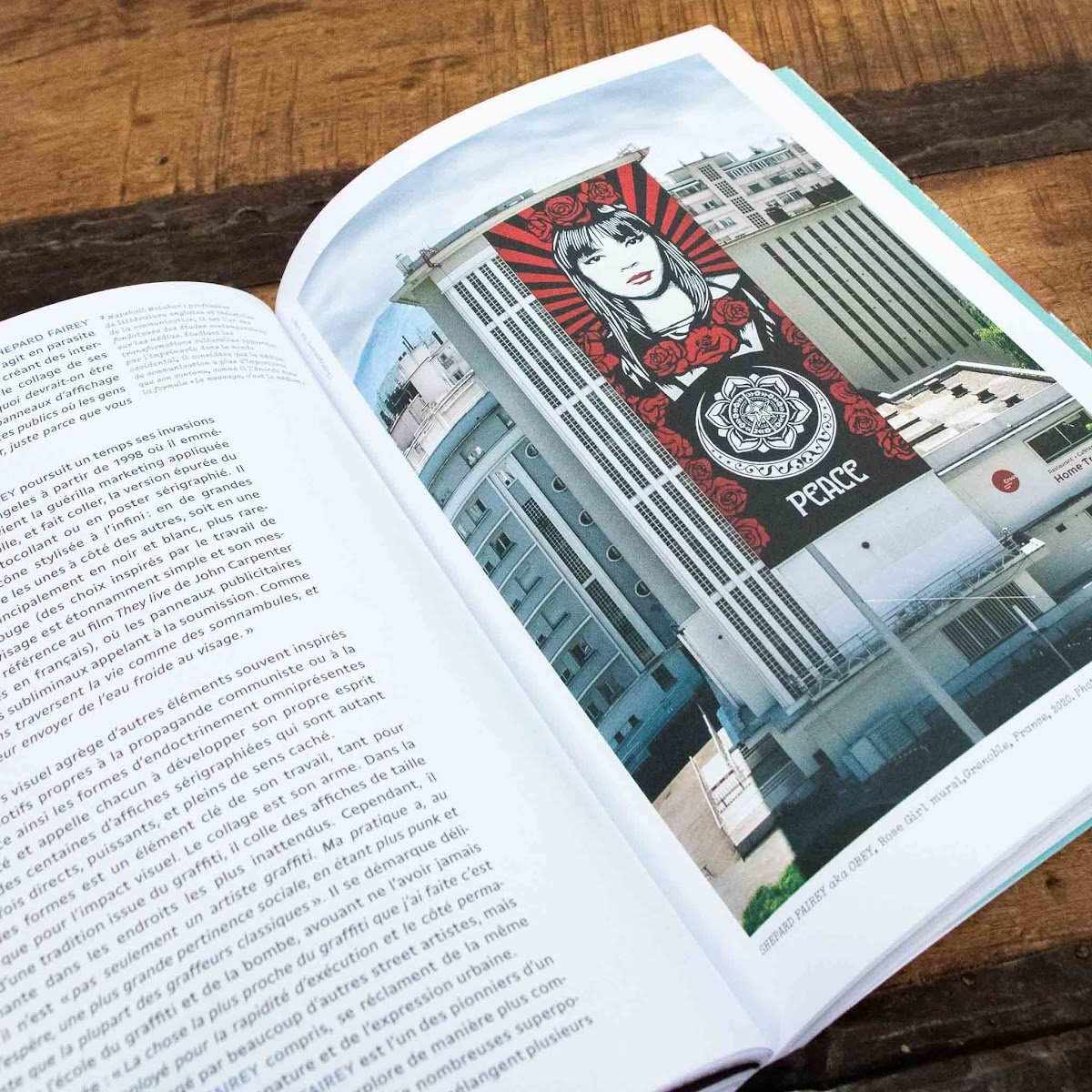 Anthologie du Street Art - grand livre images street art et culture urbaine