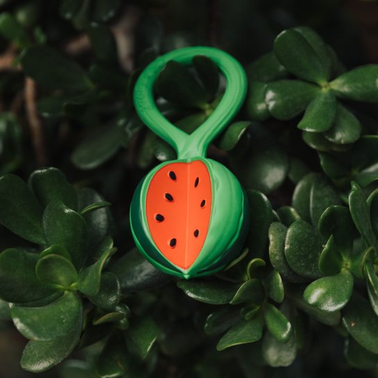 Hochet bébé fruit & légume Oli & Carol - Jouet d’éveil naturel - équipement pour faire ses dents - Dès 1 an