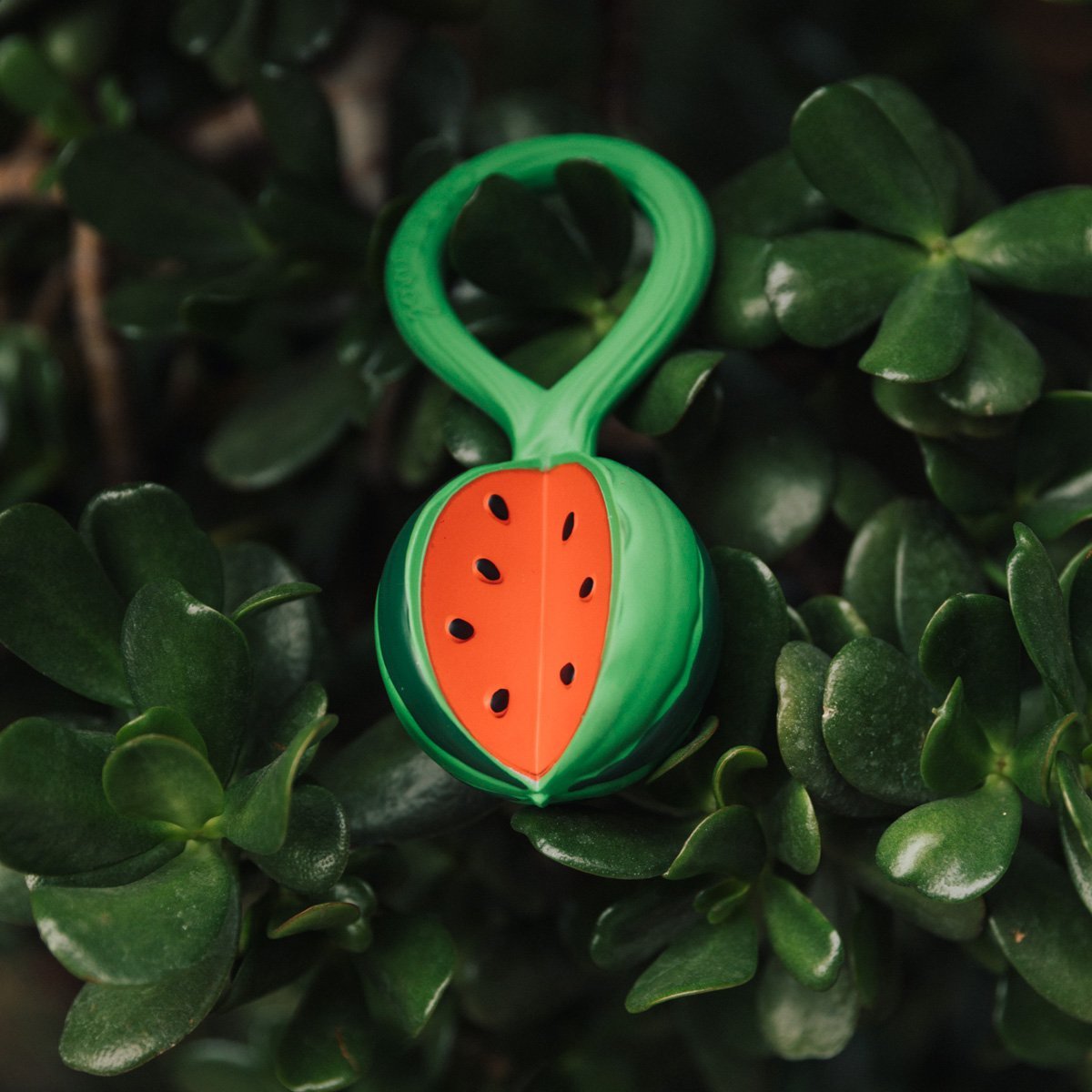 Hochet bébé fruit & légume Oli & Carol - Jouet d’éveil naturel - équipement pour faire ses dents - Dès 1 an