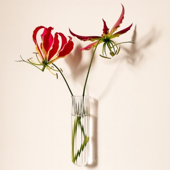 Set de 3 soliflores magnétiques XL – Vases muraux en verre – Idée déco originale pour fleurs et boutures