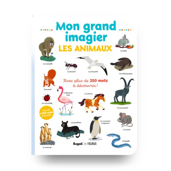 Coffret découverte Bugali avec imagier et cartes interactives
