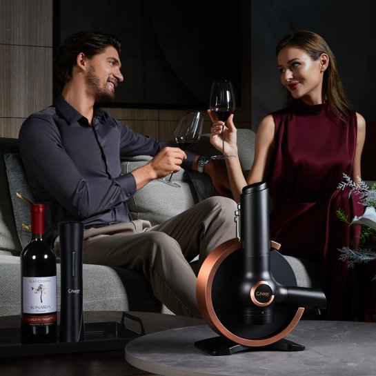 Système de préservation du vin Connoisseur - Accessoire pour conserver son vin - Idée cadeau Noël amateur de vin