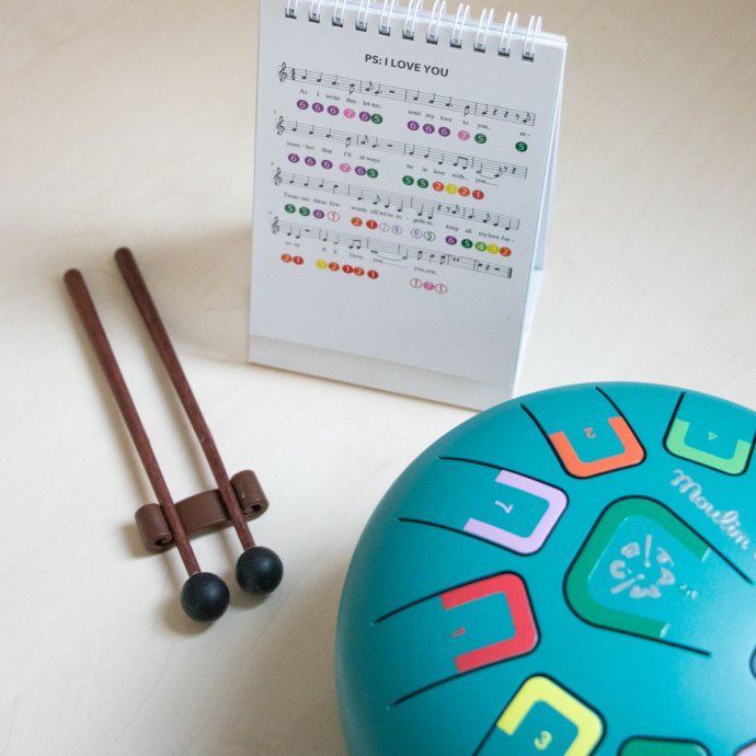 Tambour à Languettes Moulin Roty - Instrument Zen Enfant | Percussions, Coordination & Apprentissage