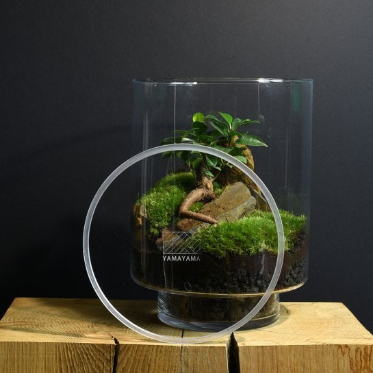 Un terrarium à composer soi-même
