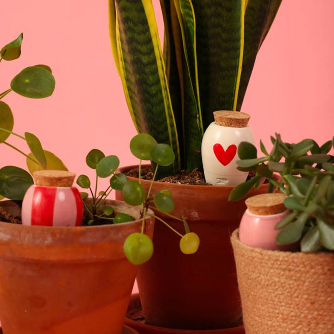 Set de 3 minis olla rose et coeur - Activité à faire en couple