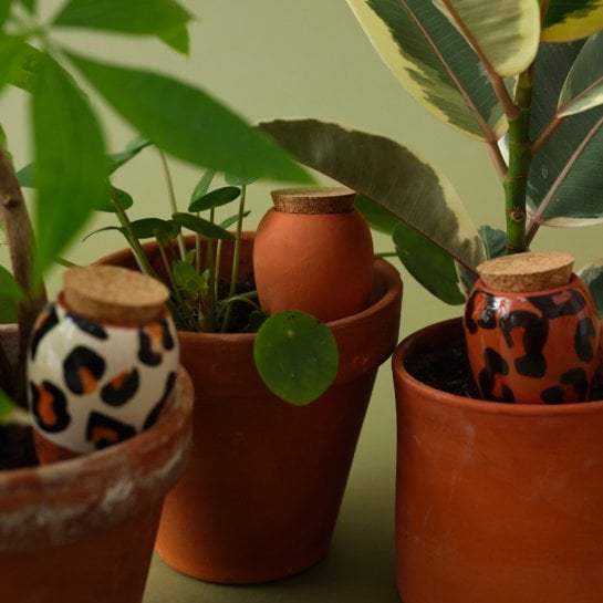 Kit arrosage autonome plantes avec 3 mini ollas Pépin