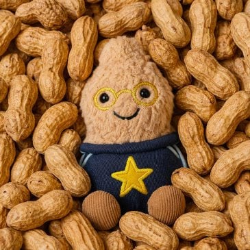 Peluche amuseable cacahuète tenue étoile (image 2)