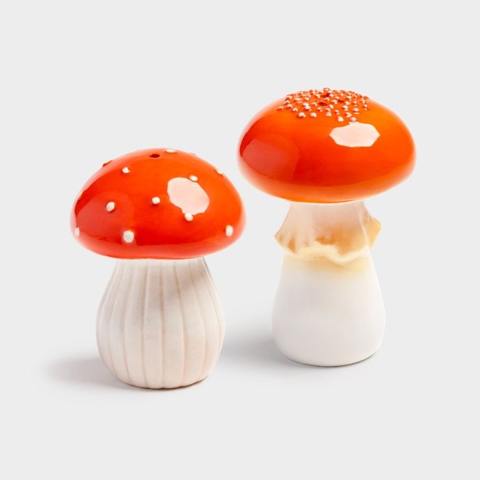 duo saliere poivriere champignon style deco ludique