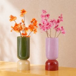 Vase en verre bicolore
