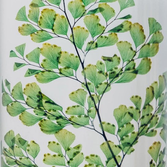 Set 3 plantes immergées en flacon - Apothicaire vintage - Herbarium déco - Théophile Berthon - Made in France