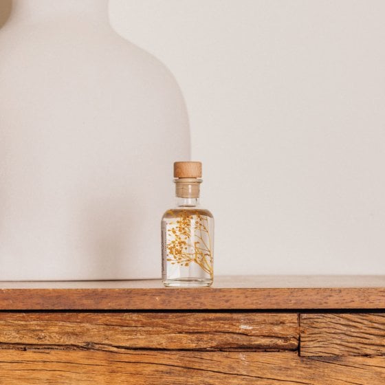 Plantes immergées en bouteille - Herbarium décoratifs fait en France - Idée cadeau femme