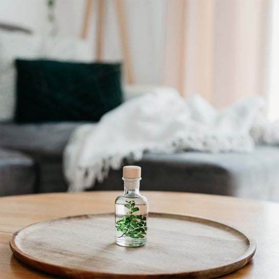 Plantes immergées en bouteille - Herbarium décoratifs fait en France - Idée cadeau femme