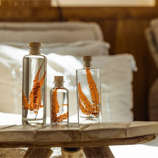 Plantes immergées en bouteille - Herbarium décoratifs fait en France - Idée cadeau femme
