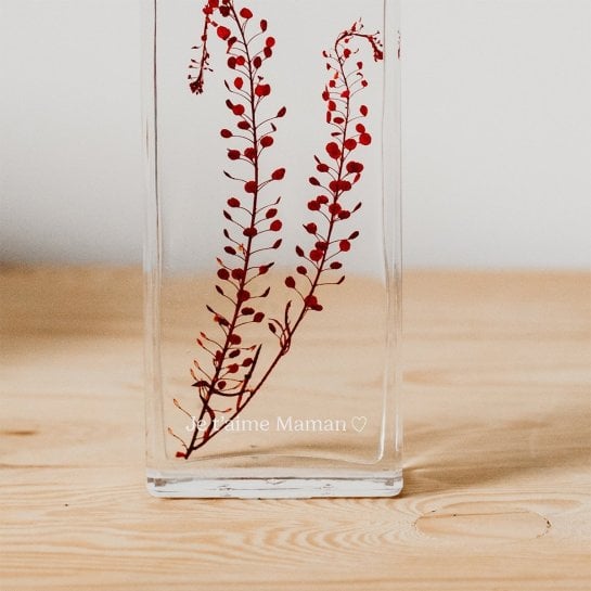 Plantes immergées en bouteille - Herbarium décoratifs fait en France - Idée cadeau femme
