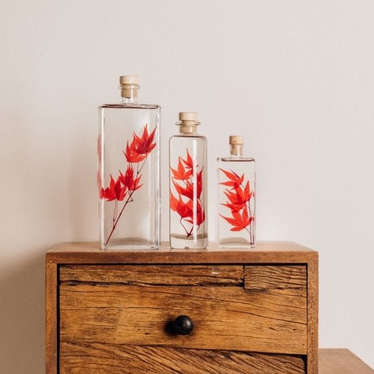 Déco plante en bouteille - Les Raffineurs