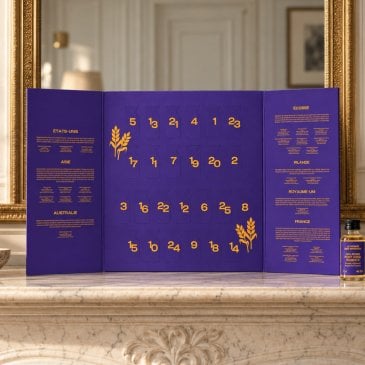 Idée cadeau de Noël pour amateur de whisky et de belles dégustations (image 2)