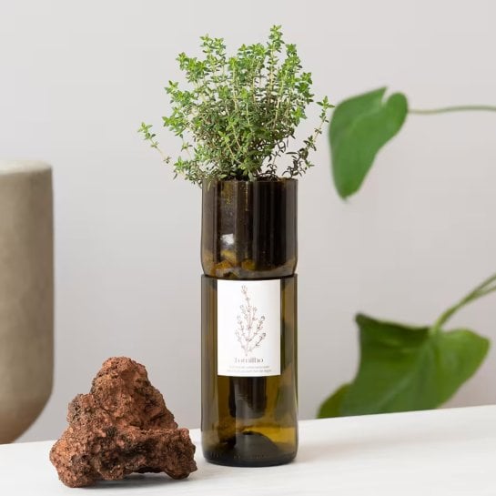 Kit de culture avec graines biologiques, substrat, billes d’argile et couvercle en liège